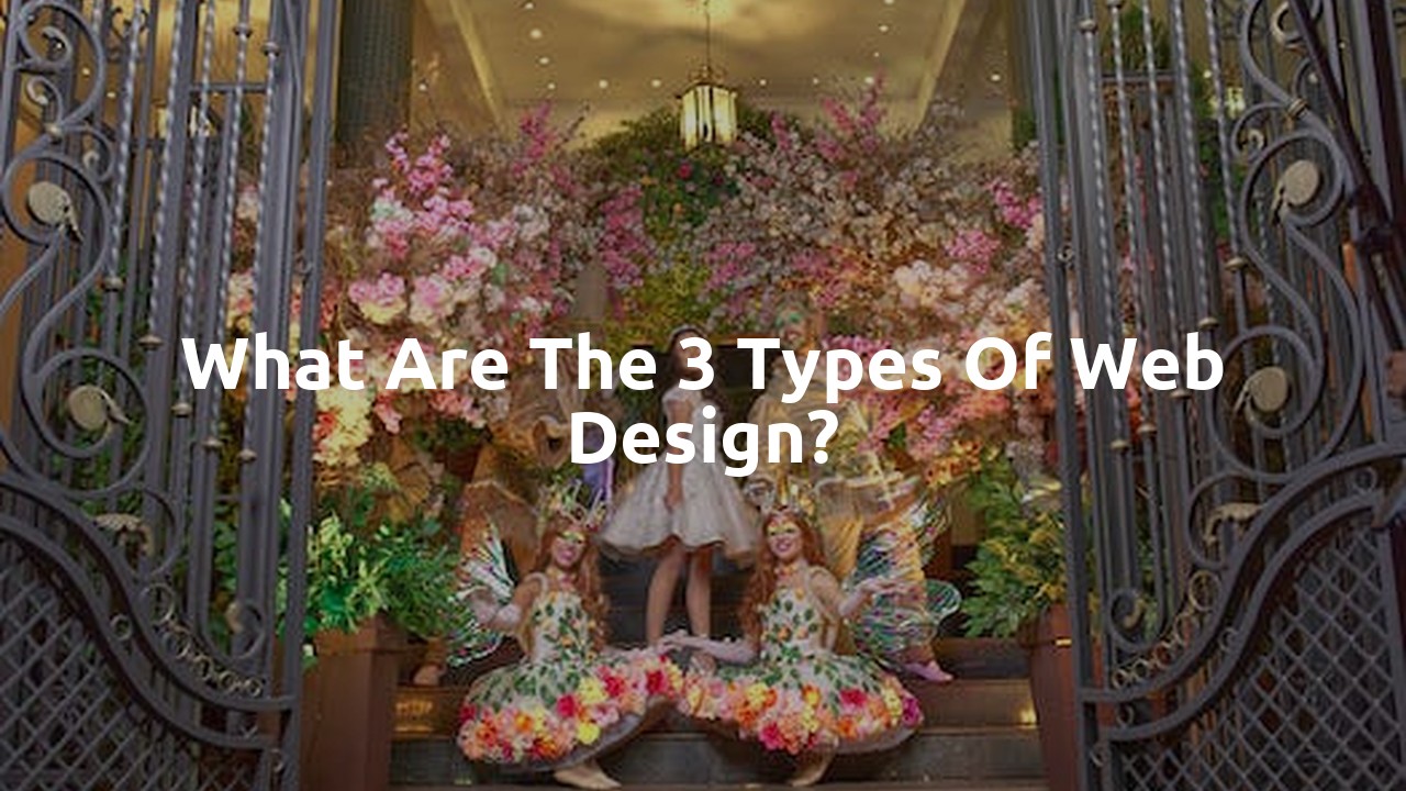 What are the 3 types of web design?