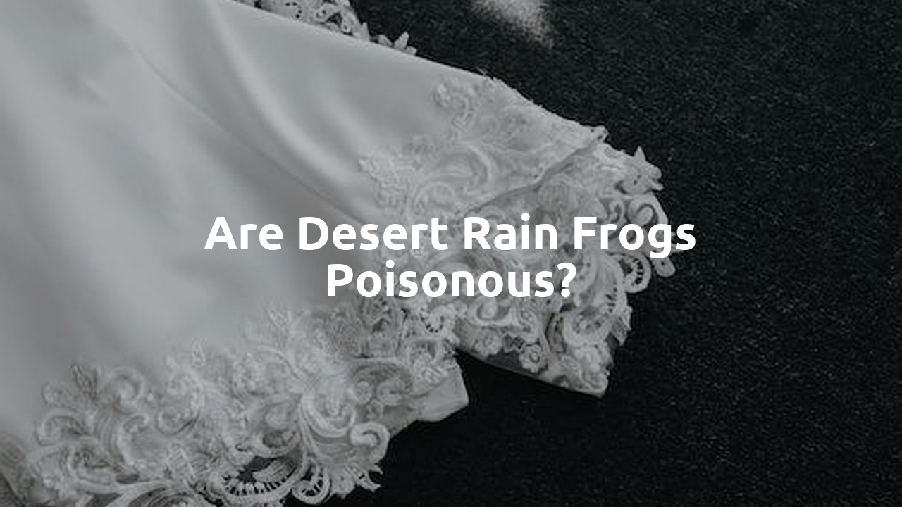 Are Desert Rain Frogs Poisonous?