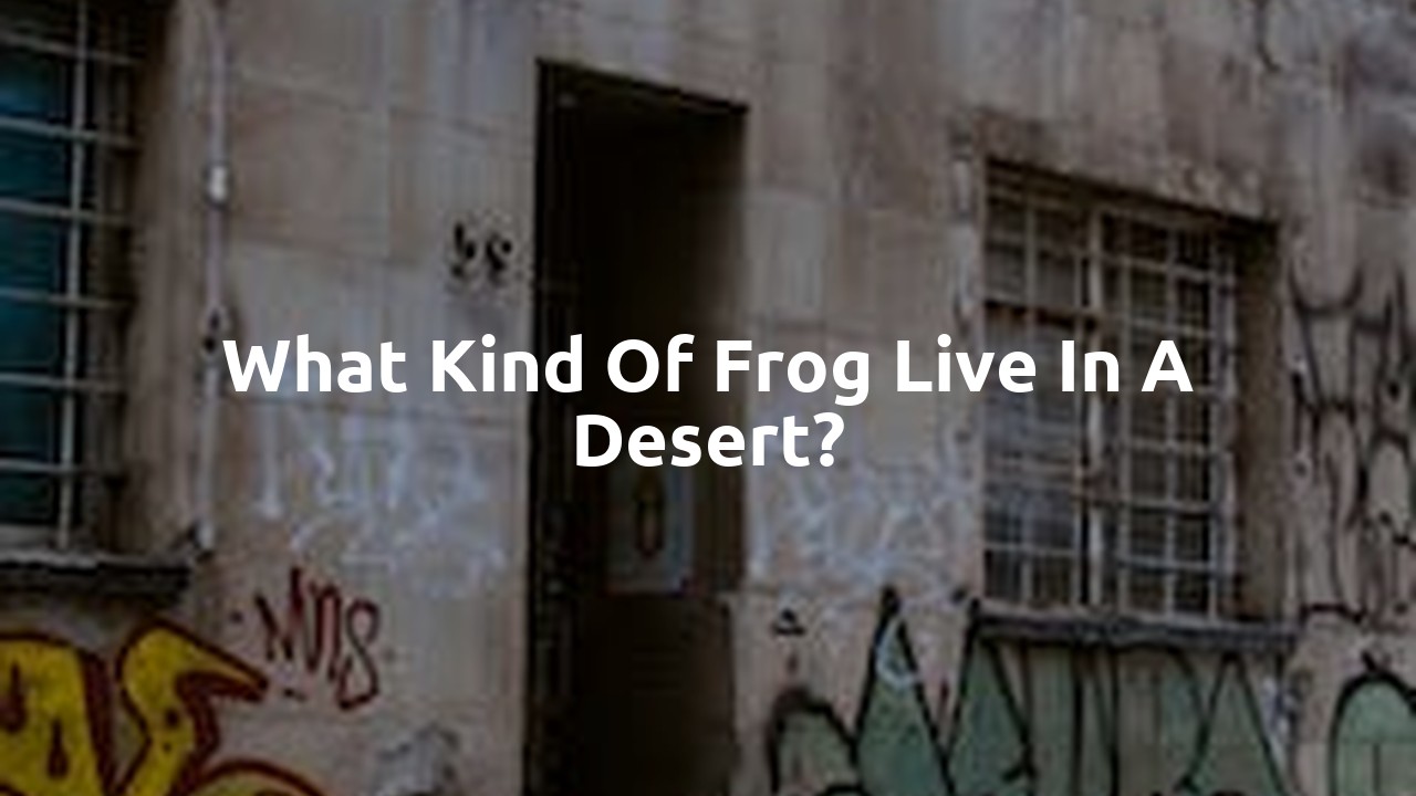 What kind of frog live in a desert?
