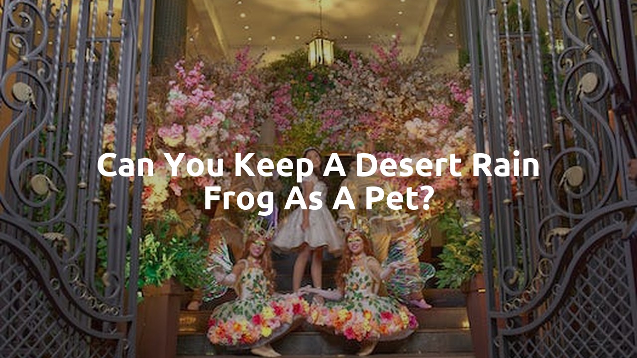 Can you keep a desert rain frog as a pet?