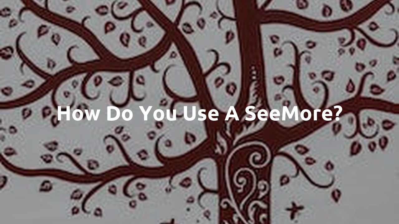 How do you use a SeeMore?