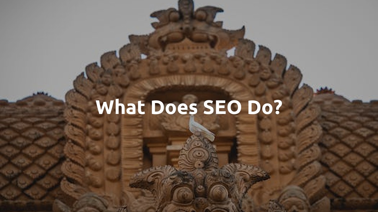 What does SEO do?