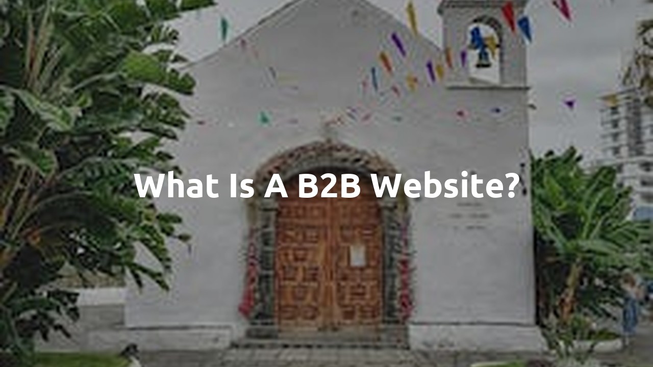 What is a B2B website?